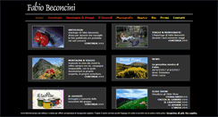Desktop Screenshot of fabiobeconcini.com