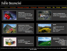 Tablet Screenshot of fabiobeconcini.com